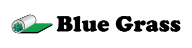 Dealer Logo