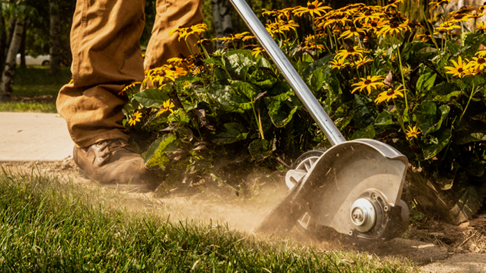 Echo power edger deals
